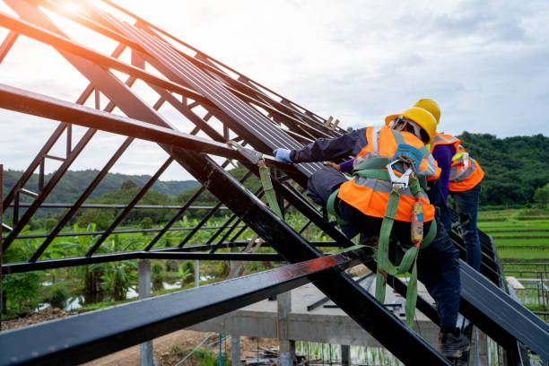 Best Roof Restoration Services  in Oblong, IL