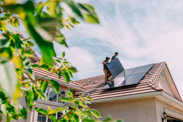 Best Roof Gutter Cleaning  in Oblong, IL